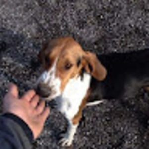 Meet your Posher, Bryan